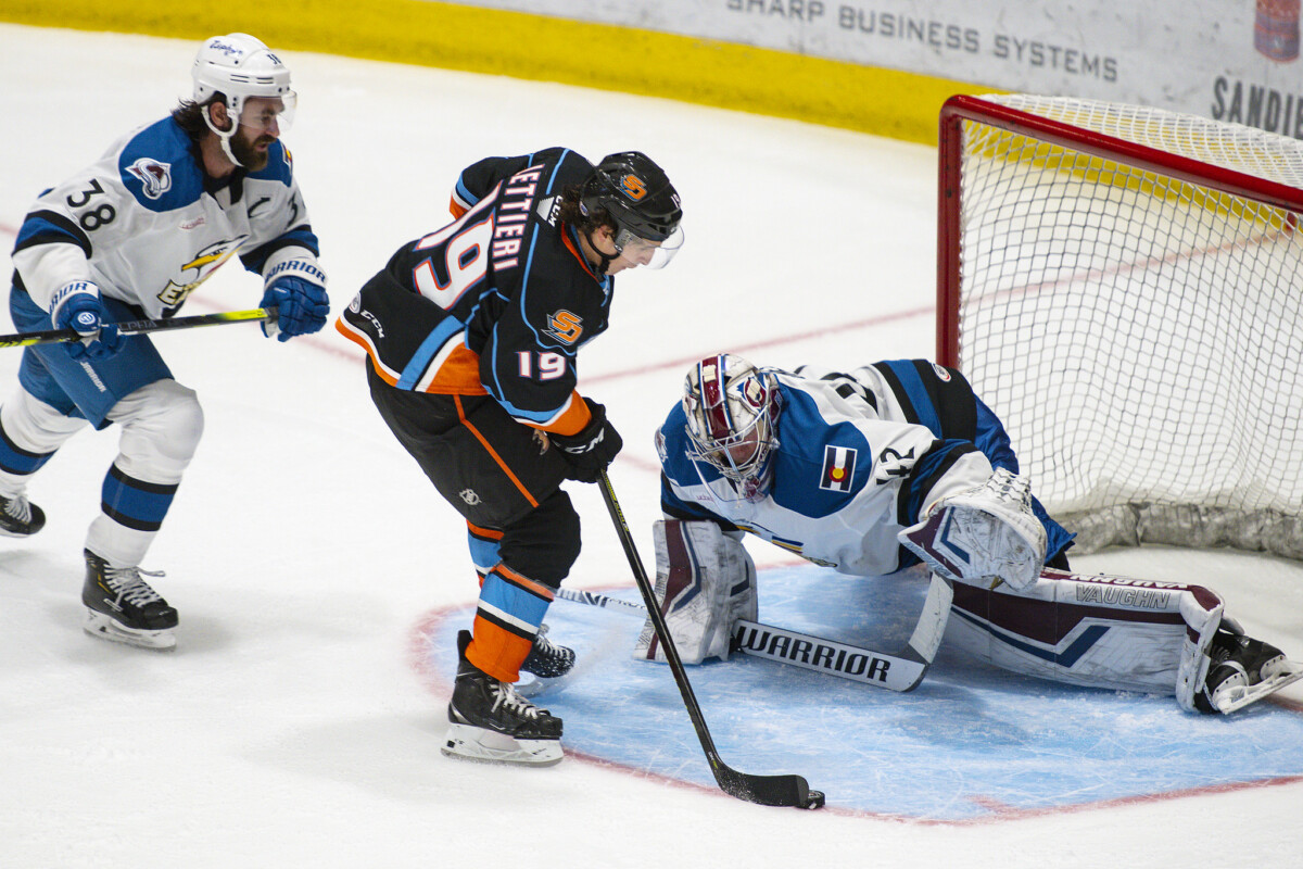 20202021 Game 4 San Diego Gulls vs Colorado Eagles Defend The Nest