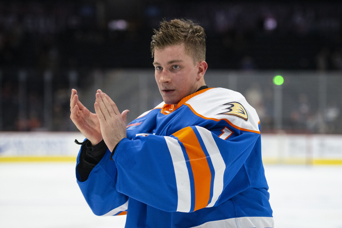 2021 2022 Game 37 San Diego Gulls Vs San Jose Barracuda Defend The Nest