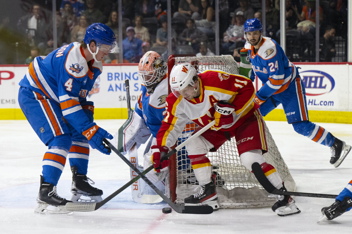 San Diego Gulls 2022-2023 Player Grades - Defend The Nest